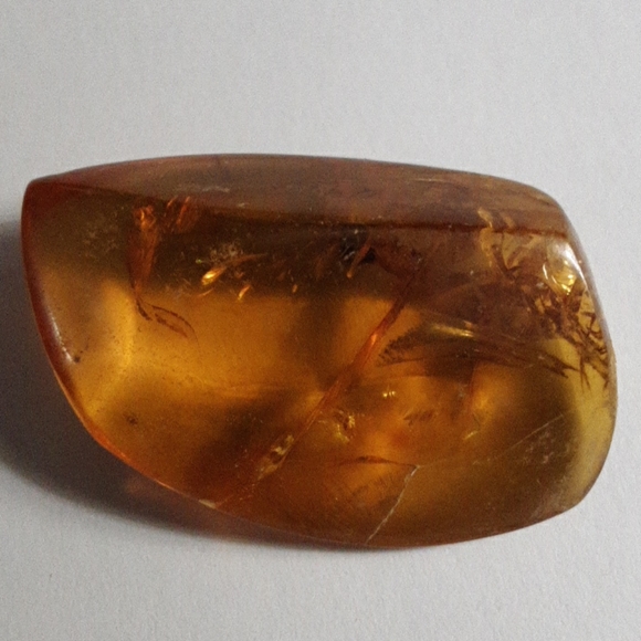 Baltic Amber - Picture 2 of 5
